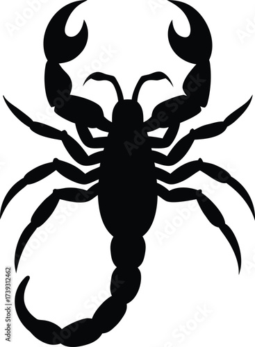 Black poisonous scorpion silhouette vector illustration with a stinger and claws on a white background
