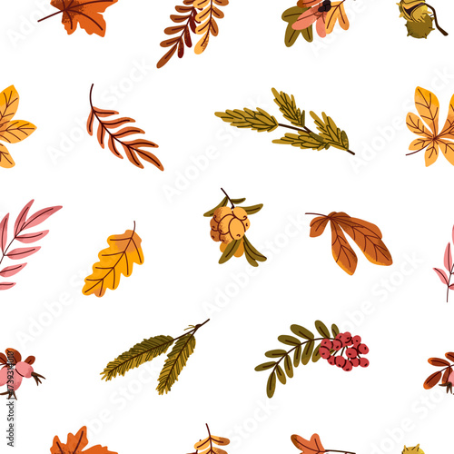 Repeatable pattern of autumn branches with faded leaves of oak, maple and rowan. Endless background of fallen tree foliage, dry twigs with berries. Fall nature. Flat seamless vector illustration