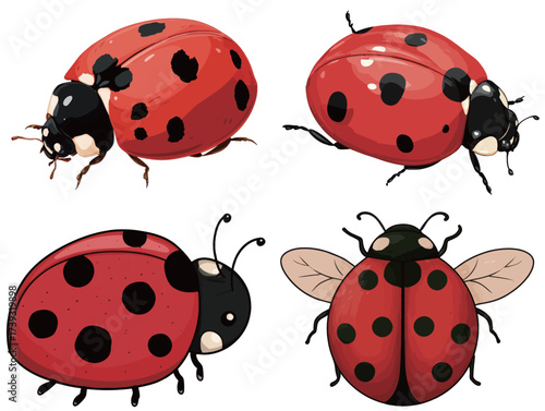Four cartoon-style ladybugs of different postures display vibrant red bodies with distinct black spots. They showcase the charm of nature with their lively appearance.