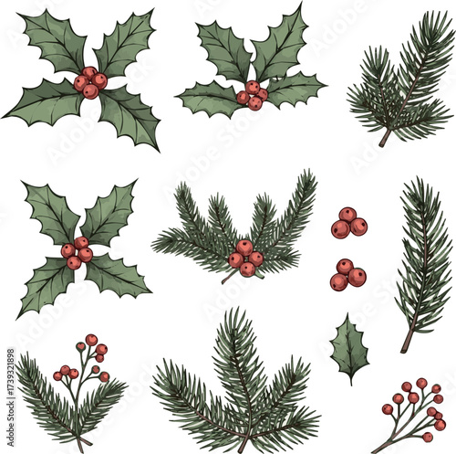 plant leaf, flower set. Hand drawn doodle sketch holly floral, christmas tree leaves, winter branch elements. Holiday decoration, rustic wreath sketch doodle. Vector illustration.