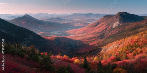 A mountain valley covered in autumn forest
