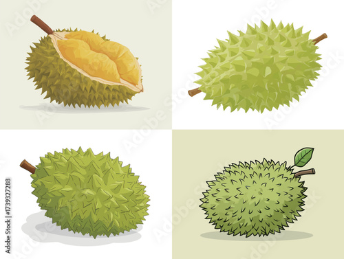 This illustration features four views of durian fruit, highlighting its spiky exterior and creamy yellow flesh. The diverse angles show the fruits distinct characteristics.