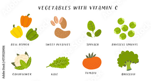 Vegetables with vitamin C. Vector food chart with fruits and vegetables