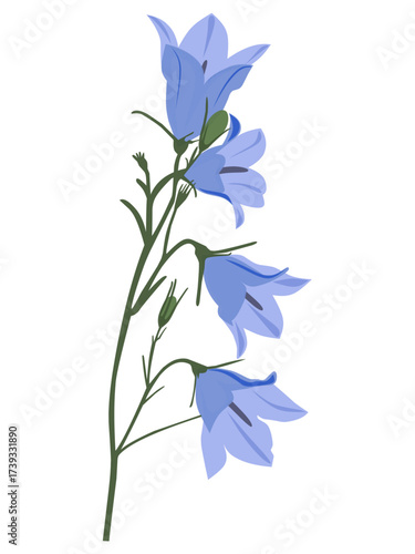bouquet of blue flowers