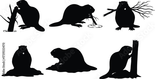 Beaver silhouette vector set with wood interaction, black animal illustrations for nature, wildlife, dam building, forest and design use