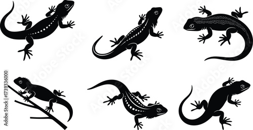 Black Silhouette Lizards in Various Poses Crawling, Climbing, and Standing with Naturalistic Details for Reptile Anatomy and Design Use