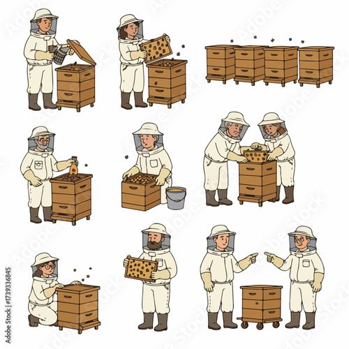 Beekeepers working with beehives in an apiary