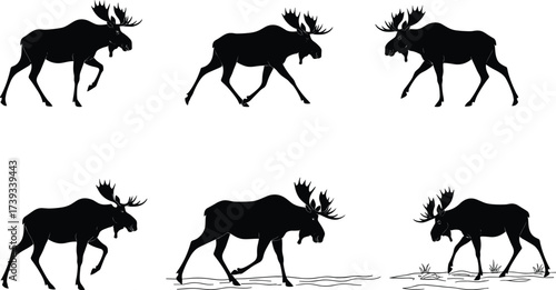 Moose Silhouette Vector Set Featuring Walking Poses with Grass and Water Elements for Wildlife, Nature, Animal Motion and Forest Themes