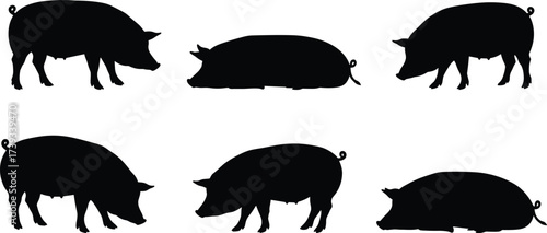 Pig Silhouette Vector Set Showing Farm Animal Icons, Hog Behavior, Illustrating Grazing Pose, Sleep Motion, Black Swine Illustrations, Livestock Postures