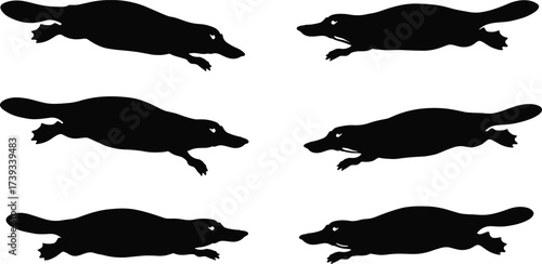 Platypus silhouette swimming poses set, animal motion vector illustration, black platypus icon collection for animation and wildlife design