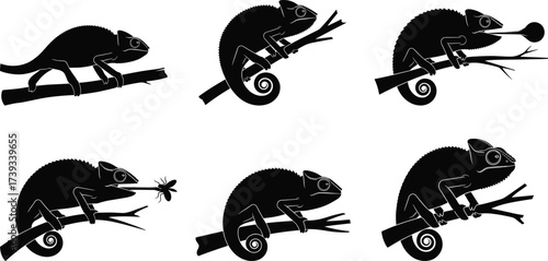 vector silhouettes of animals