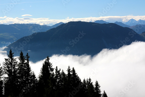 Mountains rise above a sea of clouds with pine trees in the foreground during a clear day in a scenic landscape