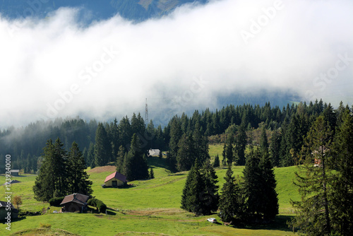 Scenic landscape of Swiss mountains adorned with green fields and quaint houses under a misty sky