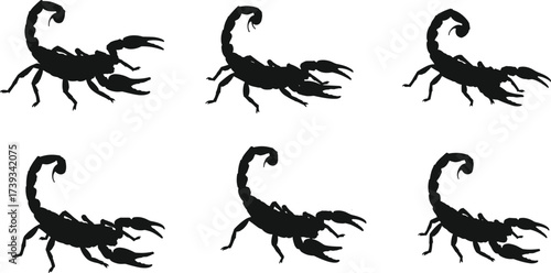 Set of Black Scorpion Silhouettes in Various Poses Showing Anatomy, Tail Curvature, and Pincer Position for Biological and Design Use