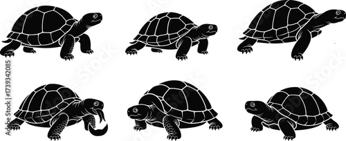 Set of black turtle silhouettes in various poses, walking, resting, eating, isolated on white background for wildlife vector design.