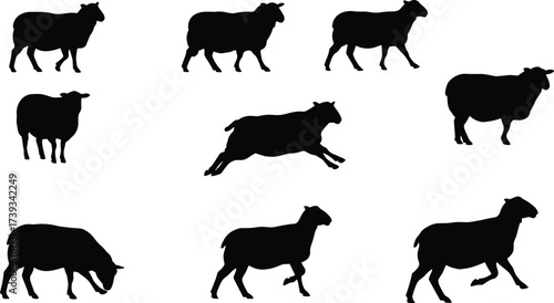 Sheep Silhouette Vector Set Showing Grazing Pose, Jumping Motion, Livestock Behavior, Farm Animal Icons, Pasture Walking Illustration, Black Wool Creatures
