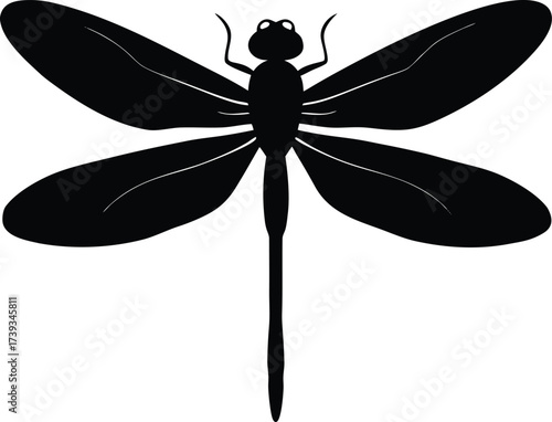 A green dragonfly insect animal with wings is a vector illustration flying on a white background