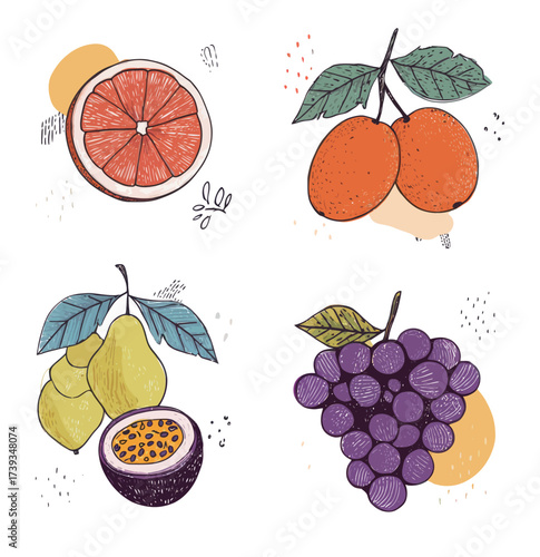 This artwork features a vibrant assortment of fruits, showcasing grapefruit, tangerines, pears, and grapes arranged in a playful design with appealing colors.