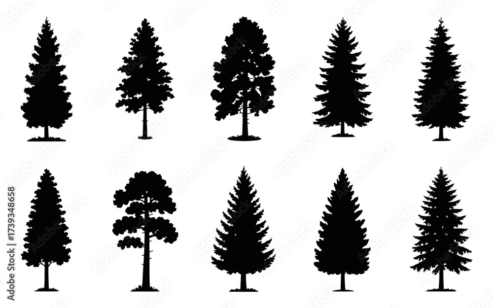 Fototapeta premium Tree Silhouette Set Collection Vector Illustration