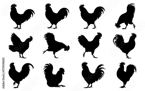 Rooster Silhouette Set Collection Vector Illustration