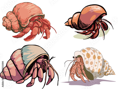 Four vibrant drawings showcase hermit crabs in unique shells. Each crab displays distinct colors and features, emphasizing their interesting adaptations.