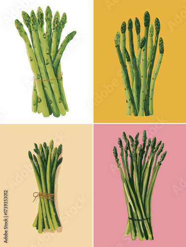 Several bundles of green asparagus are arranged in four sections with vibrant backgrounds. Each bundle is tied with a string, showcasing fresh vegetables.