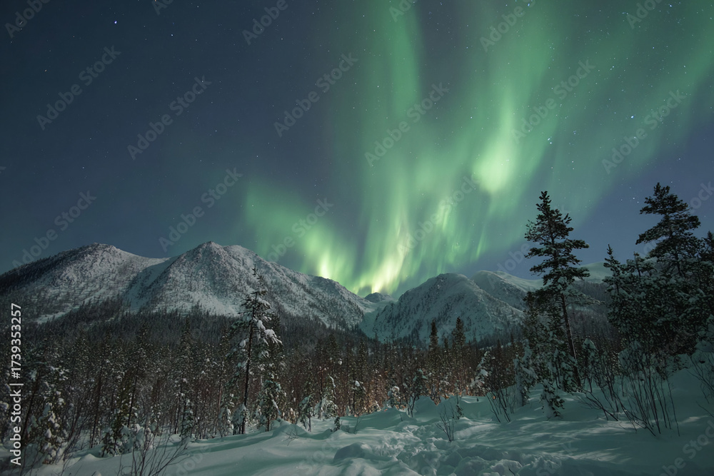 Naklejka premium Northern lights over snowy landscape, glowing colors in dark sky, magical winter scene