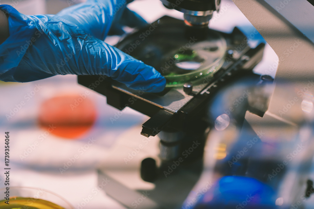 Naklejka premium Researchers working in the clinical laboratory