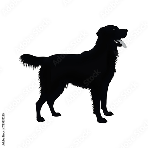 black dog silhouette