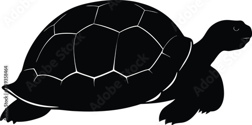 A playful turtle vector illustration is shown with a soccer ball resting on its shell, ready for a fun game on a white background