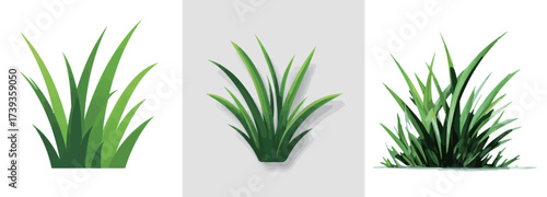 Three different styles of green grass are displayed against simple backgrounds, showcasing diverse shapes and textures. These illustrations capture the natural beauty of grass.