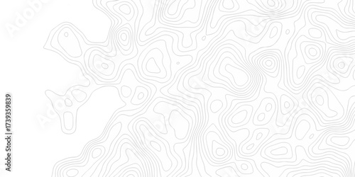 white topography map geography relief diagram texture design. Topography white background and black line world map texture design. Lines Topographic contour lines grid map seamless pattern.	
