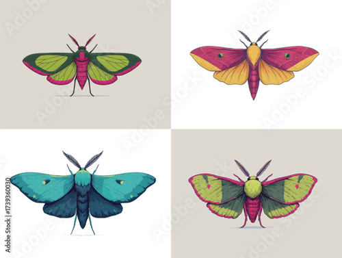 Four beautifully illustrated moths display various colors and patterns. The vibrant designs highlight the diversity in moth species and their natural beauty.
