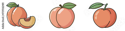 Three colorful peach illustrations show various aspects of the fruit.