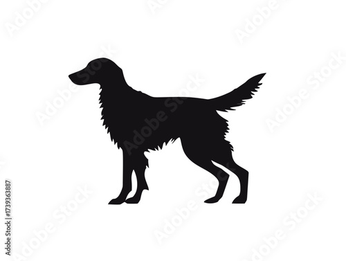 A black silhouette of a dog is positioned in a standing pose, capturing the essence of a loyal companion. The scene suggests a calm outdoor environment and bright daylight.