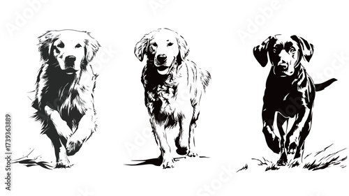 Three dogs of different breeds run joyfully in a sunny field. Their energetic movements capture a lively scene of companionship and fun.