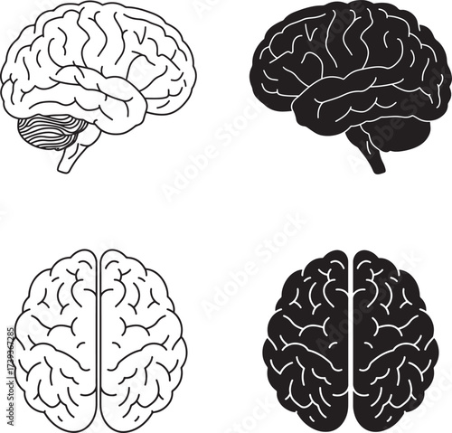 Set of four stylized human brain illustrations in black and white line art and silhouette styles