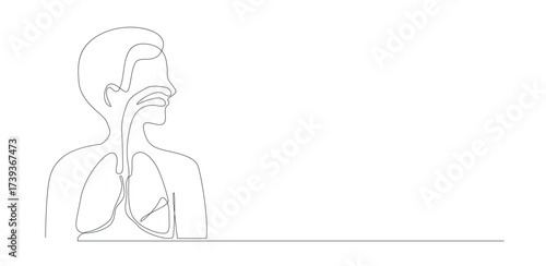 Human Respiratory System One Line Drawing, Isolated on White Background.