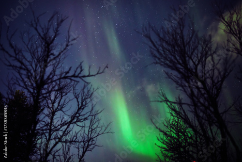 Aurora borealis, polar lights with Milky Way stars.