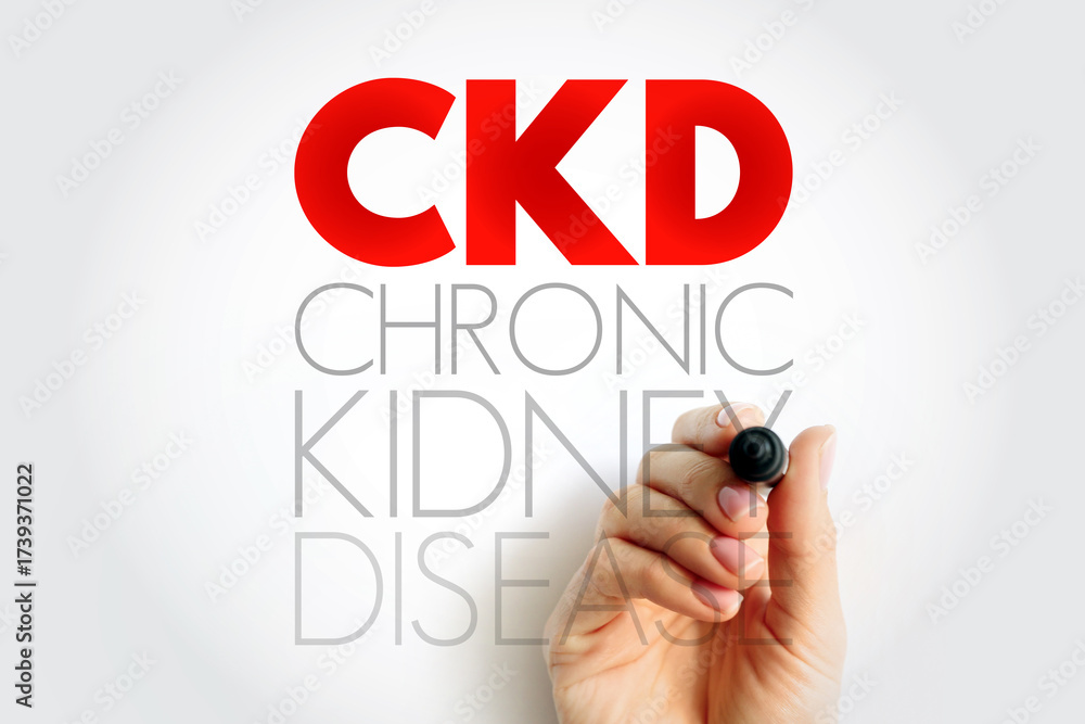 Fototapeta premium CKD Chronic Kidney Disease - gradual loss of kidney function over a period of months to years, acronym text concept background