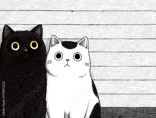 Two charming cartoon cats stand next to each other, one black with large yellow eyes and the other white with black markings. They have a playful and innocent expression.