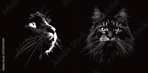 This artistic representation features two cat faces in a contrasting black background. Each cat has unique fur patterns and expressions, highlighting their individuality.