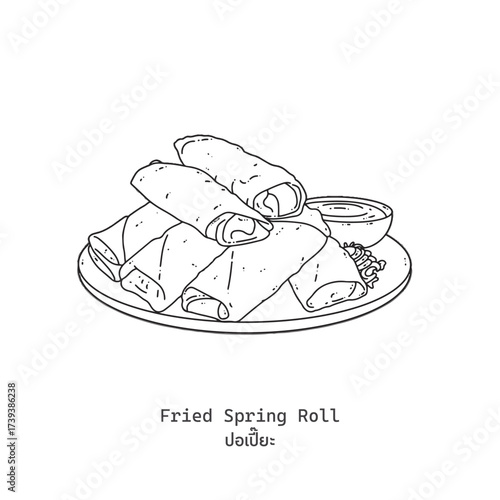 Fried spring rolls