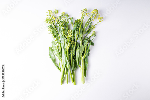 rapeseed flowers