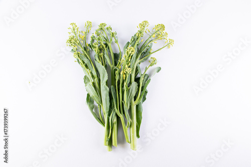 rapeseed flowers
