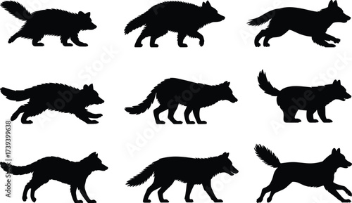 Wolf silhouette vector set, black wolf poses, animal movement illustration, wild canine clipart, walking running standing wolves, wildlife design