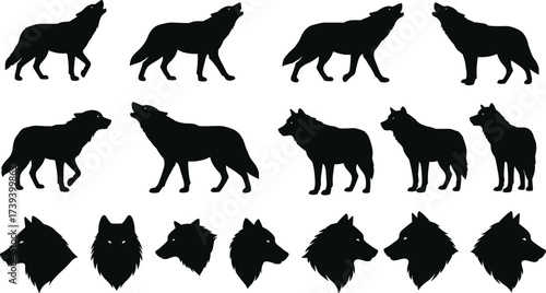 Wolf silhouettes, wild animal poses, howling wolves, walking wolves, head profiles, black vector, nature icons, predator shapes, wildlife design, white background