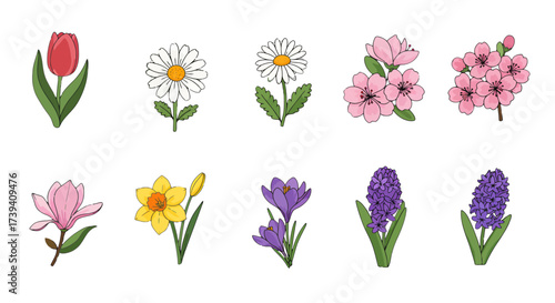 Delicate spring flower assortment showcasing the beauty of nature's bloom, ideal for greeting cards, invitations, and cheerful seasonal designs with botanical elegance