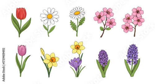 Delicate spring flower assortment bringing fresh blooms to any project, perfect for greeting cards, invitations, or adding a touch of floral beauty, originally vector art