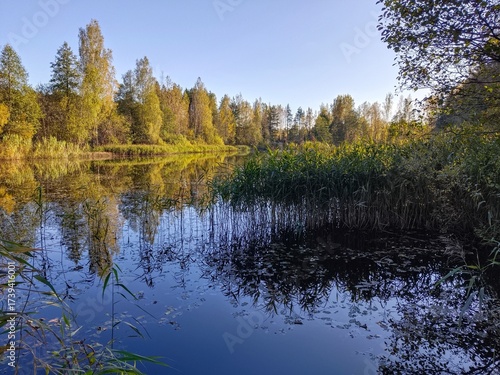 Autumn landscape on the river bank in the forest on a sunny day